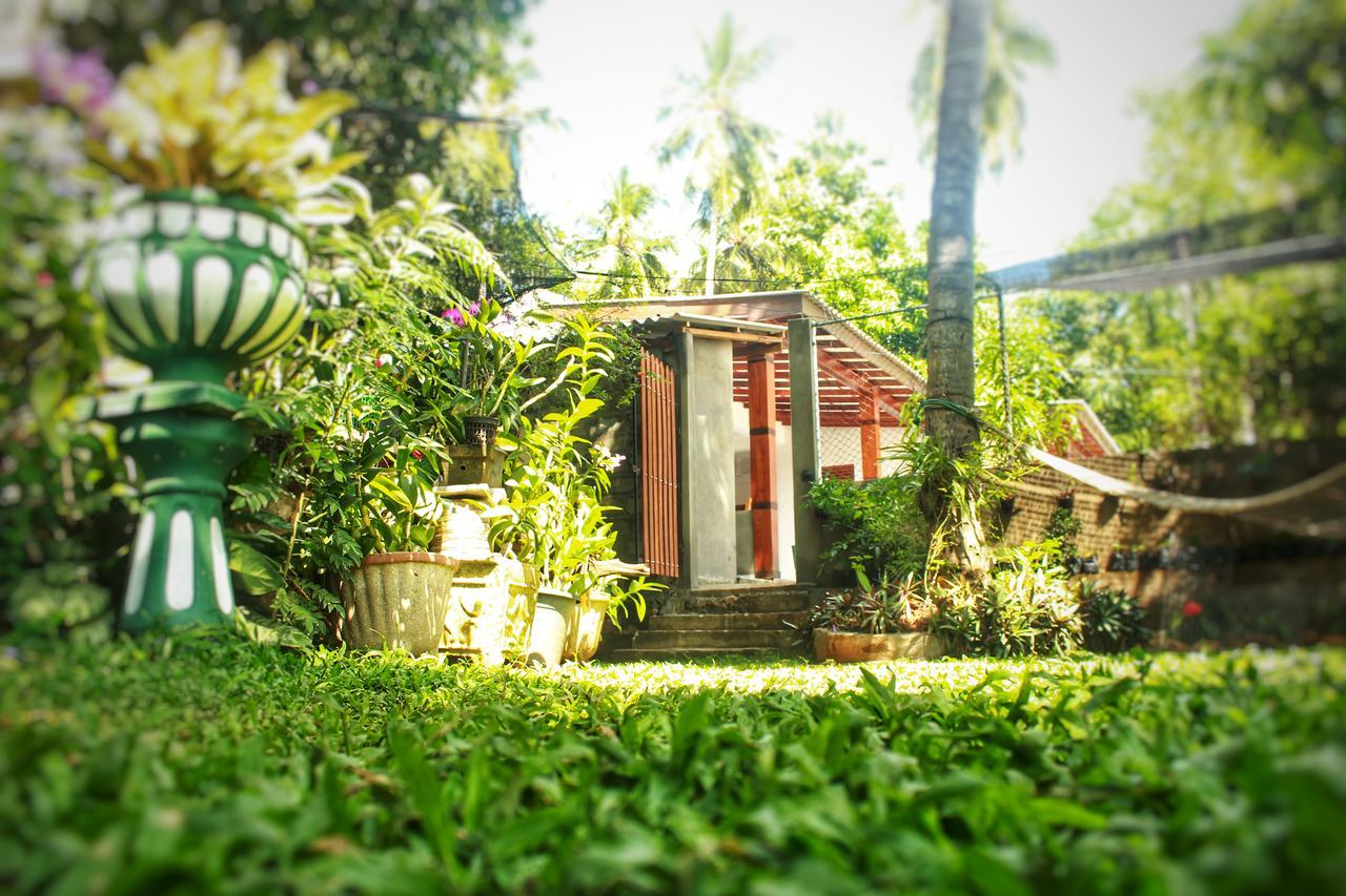 Hotel Tissamaharama Exterior photo